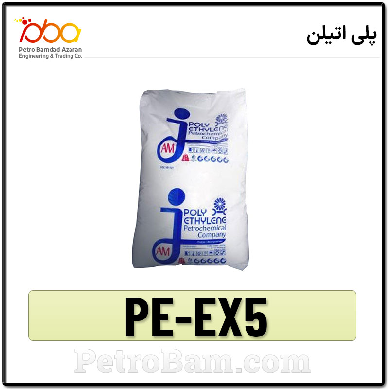 PE-EX5